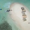 Cayo Arena Los Manglares y Punta Rusia - Imagen 2